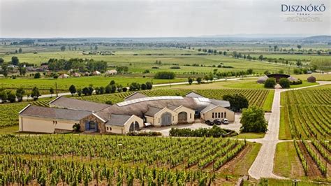 Disznókő Pincészet épületeinek metszete