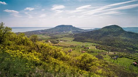 Panorámás kilátás egy borászatból