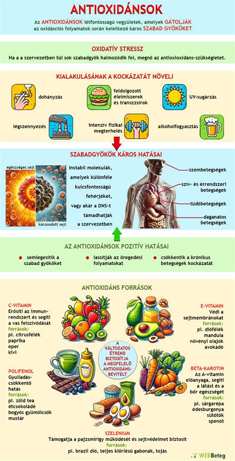 Antioxidánsok hatásmechanizmusa