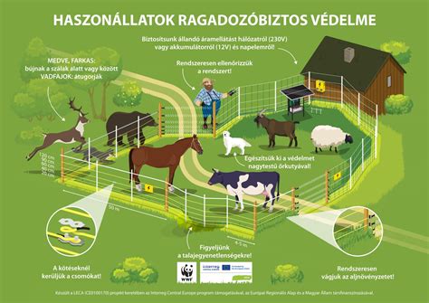 infografika a Font Pincészetről és fajtákról