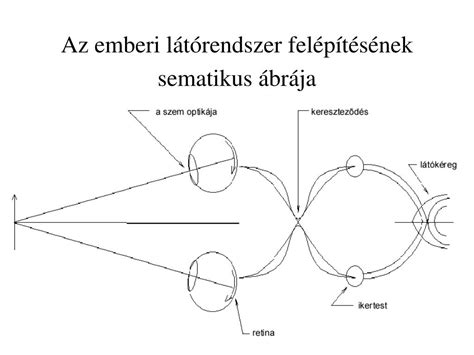 Cannizzaro-reakció sematikus ábrája