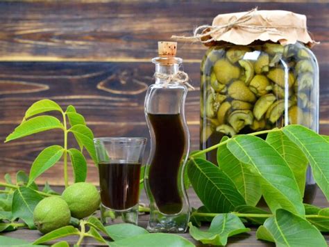 Zöld dió likőr készítése