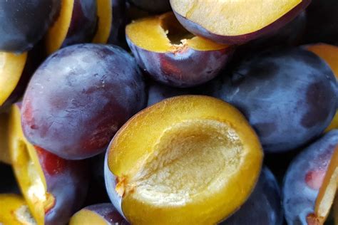 Fűszerek és szilva