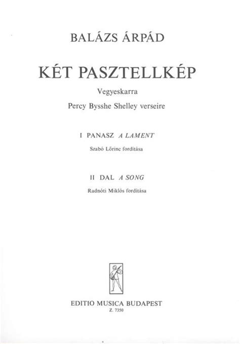 Kottarészlet Balázs Árpád művéből