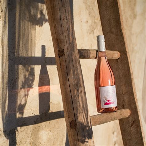 Borkóstoló pincében