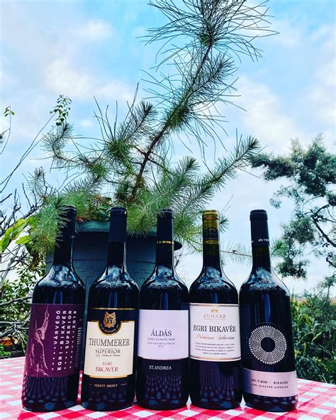 Egri Bikavér palack