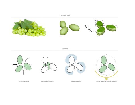 Szőlőszemek színe