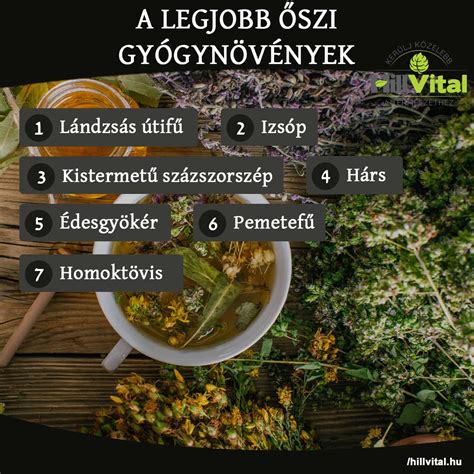 Gyógynövények kombinációja májvédő teához