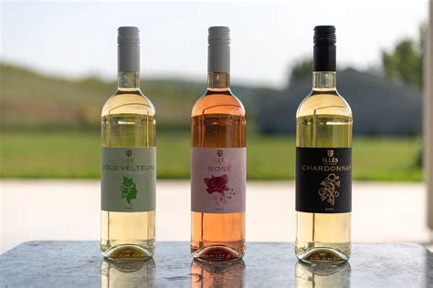 Schieber család borkóstolón