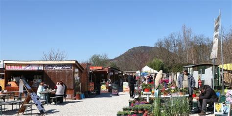 Káptalantóti Tóti Piac