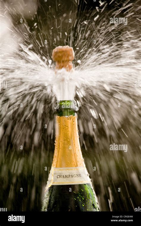 Magnum bottle of sparkling wine