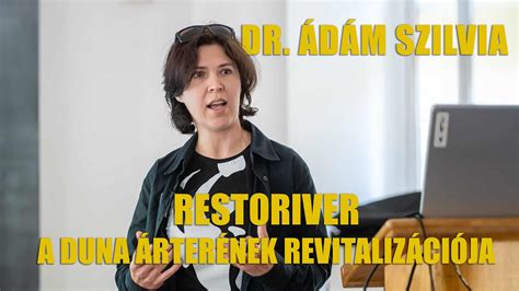 Duna árterének korábbi állapota