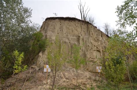 Darázskő képződmény