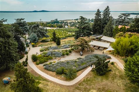 Folly Arborétum és Borászat borterasza