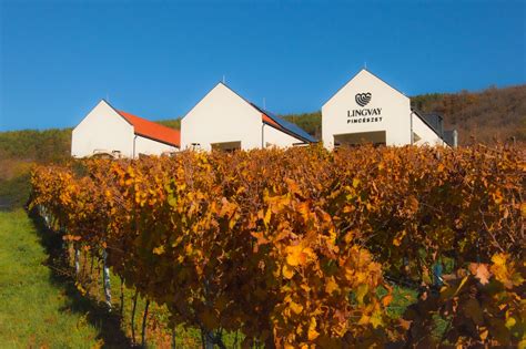 A tokaji Hímesudvar pincészet