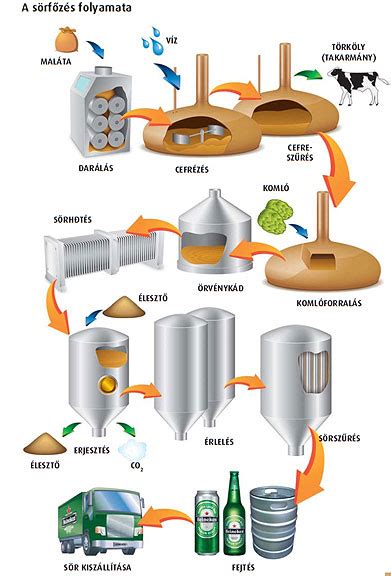 Sörgyártás folyamata