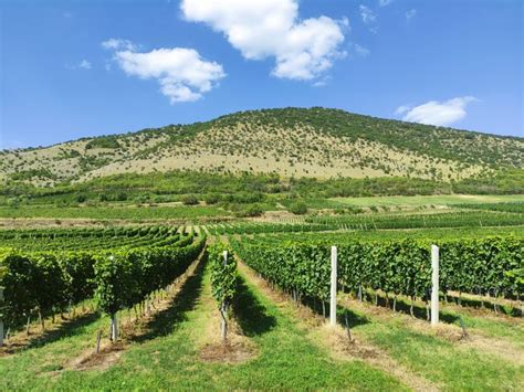 A Villányi-hegység panorámája