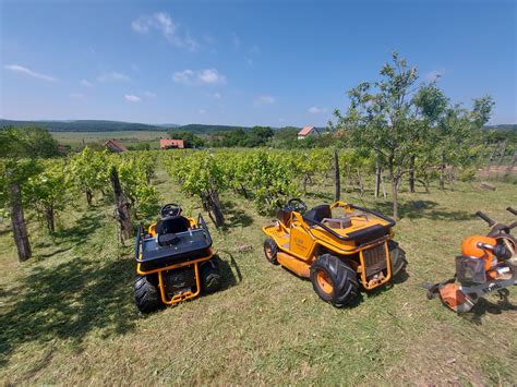 gyümölcsös sorköz művelése