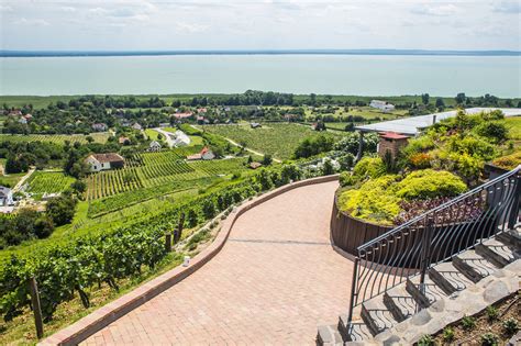 Laposa Borbirtok Badacsony panorámával