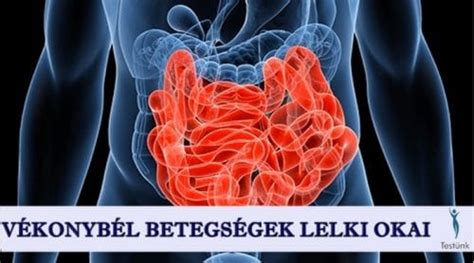 Az emésztőrendszeri betegségek és az alkohol kapcsolata