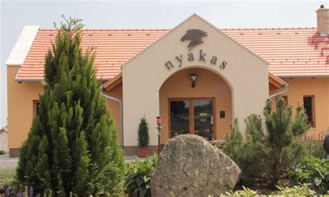 Nyakas Pincészet szőlőültetvénye Tök településen