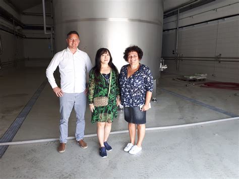 Nyakas Pincészet díjainak áttekintése