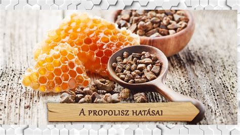 különböző gyógynövények és propolisz