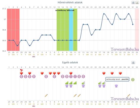 Hőmérsékleti görbe a cefrézés különböző szakaszaihoz