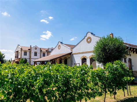 A Koch Borászat családi birtoka Borotán