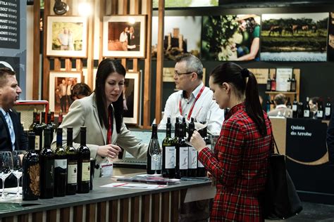 A Villányi borvidék, a Szársomlyó és a VinArt Pincészet szőlőterületei