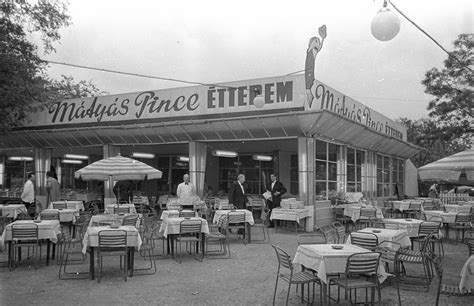 Budapesti pince belső