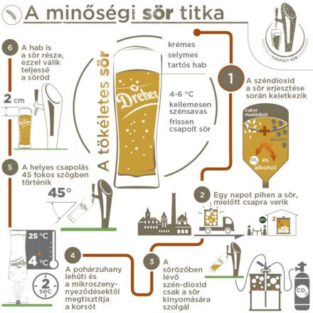 Infografika a sör alkoholtartalmának hatásáról a vízhajtó képességre
