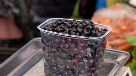 illusztráció a feketeribizli egészségügyi előnyeiről