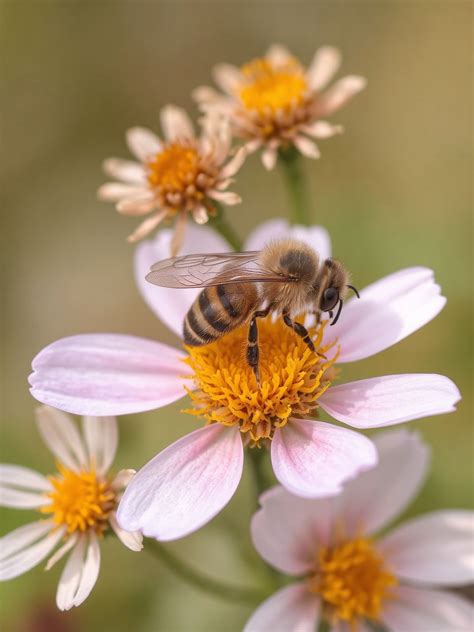 Véralkoholszint és annak hatásai