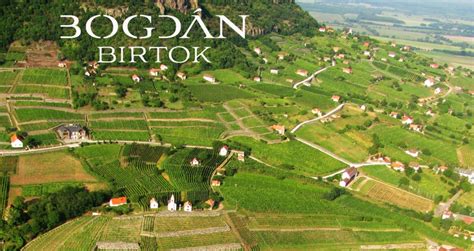 Bogdán Birtok borai