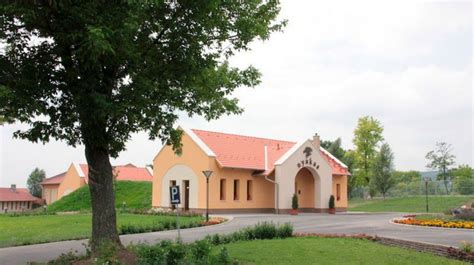 A Nyakas Pince birtoka Tök községben