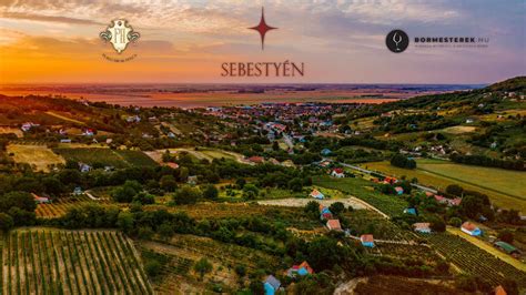 Sebestyén pince egyik dűlője