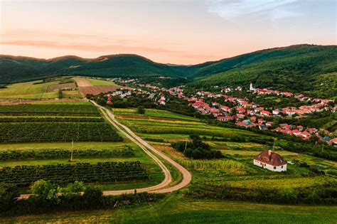 Bükki borvidék pincesor