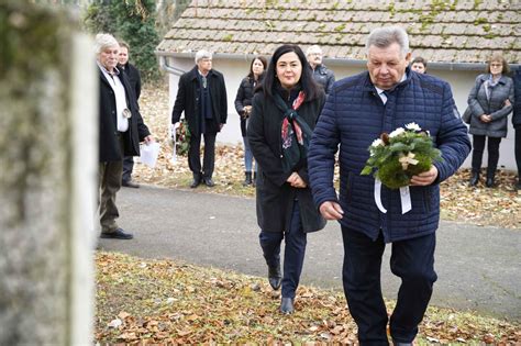 Kocsis Pál portréja