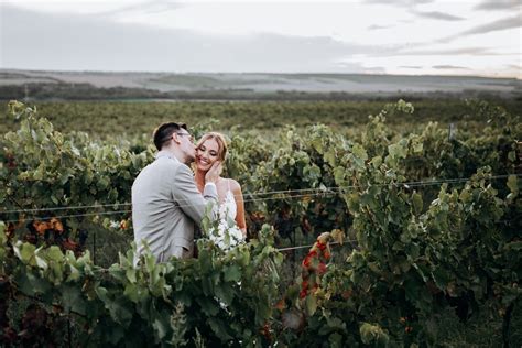 Szőlőtőkék sorban