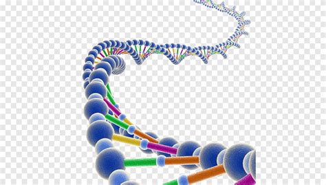 DNA spirál