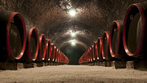 Történelmi pince Tokajban