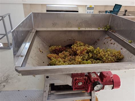 Szőlőfeldolgozó üzem