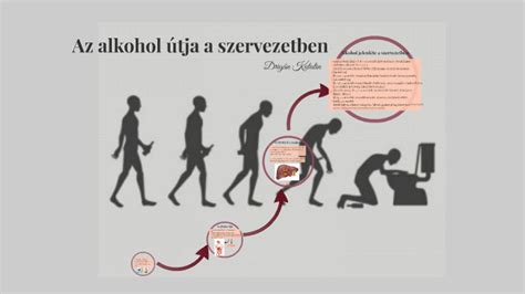infografika az alkohol lebontásáról a szervezetben