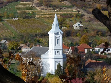 Mád falu látképe a szőlőültetvényekkel