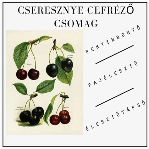 Gyümölcsök a cefrézéshez