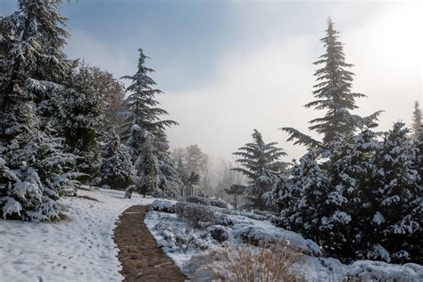 Badacsonyi panoráma téli ködben