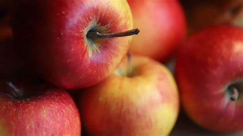 almák és cider készítéséhez szükséges eszközök