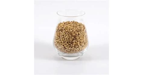 Maláta és víz keveréke a cefréző kádban