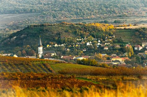 Mór város látképe szőlőültetvényekkel